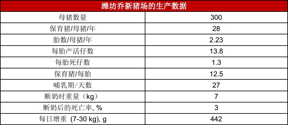 潍坊乔新-丹麦养殖模式的高标准原种猪场